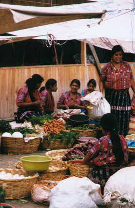 solola3.jpg (21201 bytes)