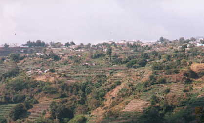 solola9.jpg (14313 bytes)